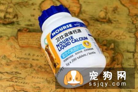 宠物狗狗接生前必须准备的用品及营养补品