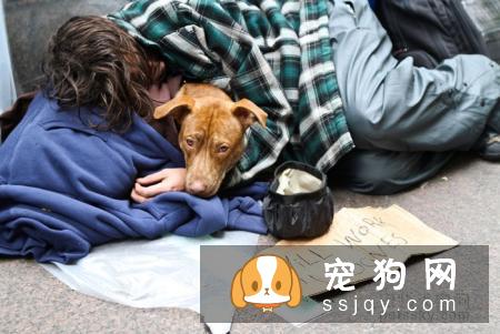 辟谣：我家宠物吃非常贵的宠粮，住得也不错，它很幸福！