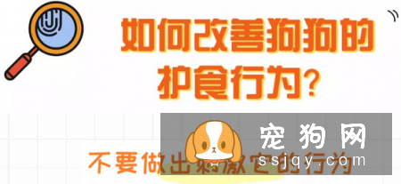 狗狗护食行为跟主人有很大的关系，应该如何改善？