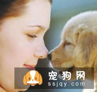 宠物天空推荐:给狗狗和猫咪打全疫苗,养宠是一种责任,请善待那些小生命