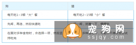 狗狗和猫咪在饮食上原来有这么多不同！