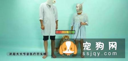 最伤的7种养狗方式，你做过几种？