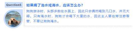 天气炎热 | 狗狗天生会游泳？