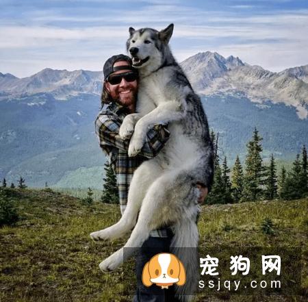怎样养宠物才能让它们活得更久？