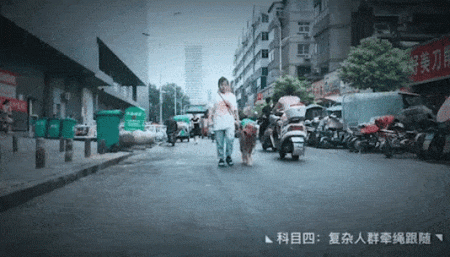 个子大招谁惹谁了?铲屎官大升级,打造养宠新模式!