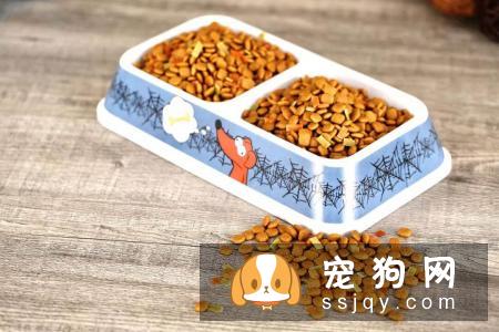 正常掉毛No季节性换毛春夏季3至11月是宠物正常换毛季