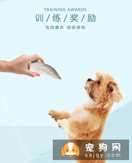 五类有益零食,宠主们都可以选择作为狗狗的训练奖励零食啦!