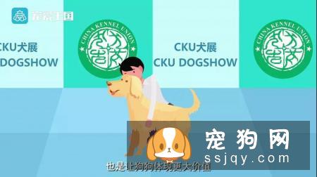 想买纯种犬太难,总是被狗贩子坑?CKU为狗狗打造了五大神器
