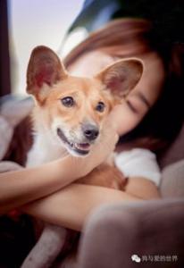 为救爱犬小男孩摆摊卖玩具 狗狗比任何玩具都要重要！