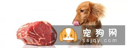 教你如何让宠物如何吃出健康