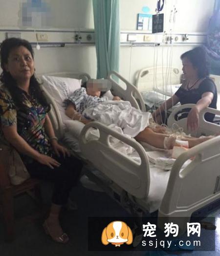 说狗的智商很高,是人类的忠诚朋友,那为什么它会咬人?