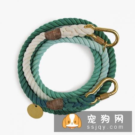 养狗狗需要做哪些准备？准备养狗要懂得那些事