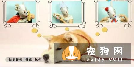 最伤的7种养狗方式，你做过几种？