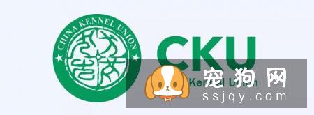 想买纯种犬太难,总是被狗贩子坑?CKU为狗狗打造了五大神器