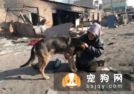 为什么有些人认为：善待宠物的人一定对父母不孝顺？