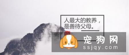 为什么有些人认为：善待宠物的人一定对父母不孝顺？