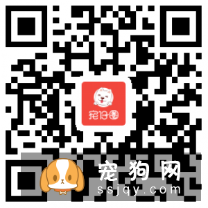 狗狗为什么害怕去宠物店?可能是这几种原因!宠仔圈社交电商平台!