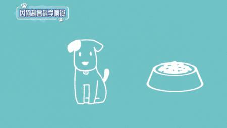狗狗每天吃几顿才科学呢？