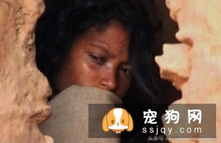 母狗来月经多长时间？狗狗什么时候月经？