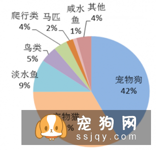 宠物市场越来越好，未来的宠物种类都有哪些？
