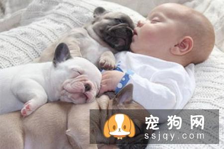 幼犬在什么时候断奶比较好？