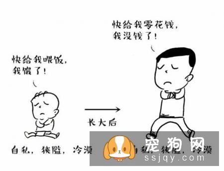 主人怀孕后，就不能养狗狗和猫咪了吗？