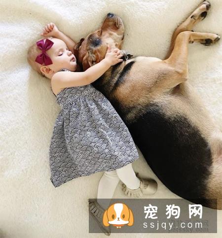 宠物天空推荐:给狗狗和猫咪打全疫苗,养宠是一种责任,请善待那些小生命