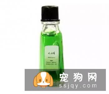 狗狗晕车怎么办，预防狗狗晕车小妙招！