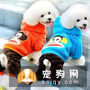 宠物究竟需不需要穿衣服呢?答案:万事无绝对嘛当然,除了你家娃很可爱