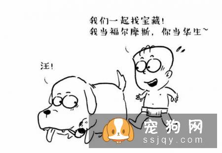 主人怀孕后，就不能养狗狗和猫咪了吗？