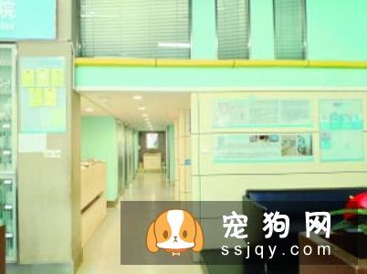 宠物医院怎么给室内环境消毒？