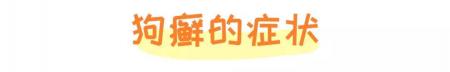 狗癣、过敏、叮咬等皮肤病,专挑皮肤防御力最低的夏季出来!
