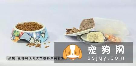 最伤的7种养狗方式，你做过几种？