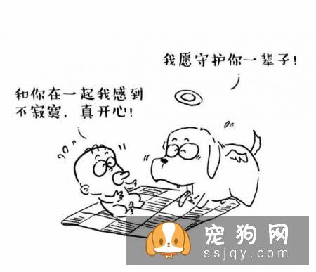 主人怀孕后，就不能养狗狗和猫咪了吗？