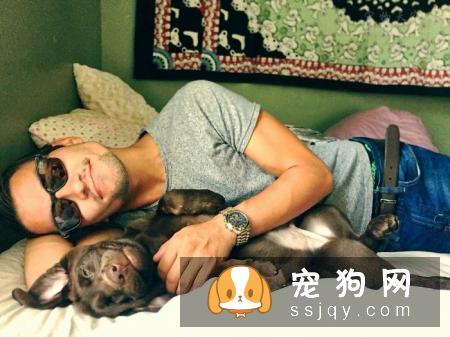 养狗前和养狗后会有什么变化？