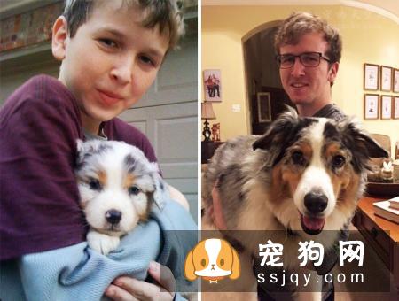 养狗前和养狗后会有什么变化？