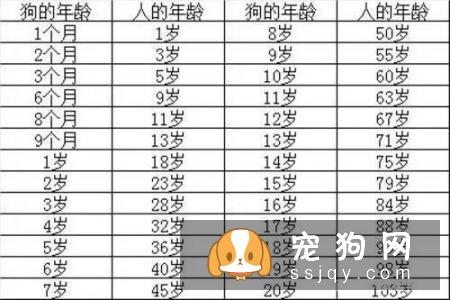 汪星人冷知识丨狗狗年龄对照表
