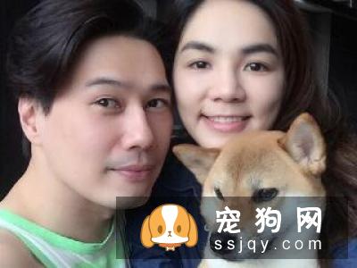 准妈妈与宠物共处5大原则 孕妇养宠物注意事项