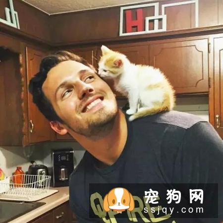 为什么养猫的男生值得交往？