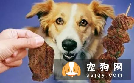 狗狗不是什么东西都能吃的,会危害它的身体健康哦。宠仔圈