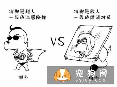 主人怀孕后，就不能养狗狗和猫咪了吗？