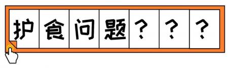狗狗护食行为跟主人有很大的关系，应该如何改善？