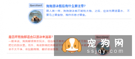 天气炎热 | 狗狗天生会游泳？