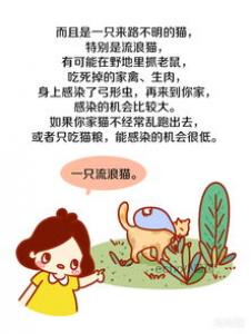 养狗的十个谣言，你听过几个？