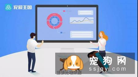 想买纯种犬太难,总是被狗贩子坑?CKU为狗狗打造了五大神器