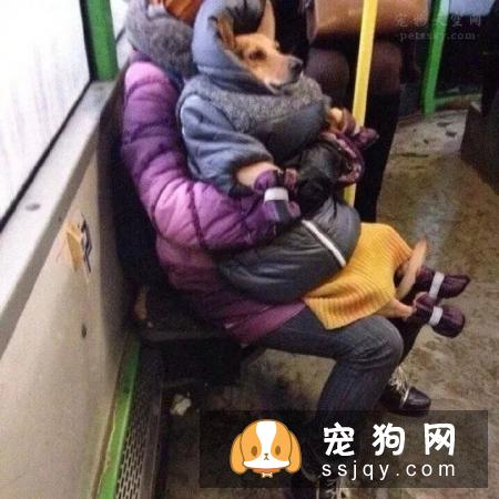 在冬天养狗，有哪些事情不能对狗狗做？