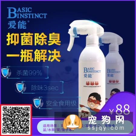 狗狗掉毛的六大原因与建议