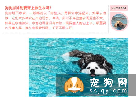 天气炎热 | 狗狗天生会游泳？