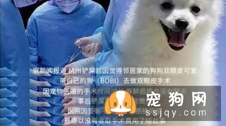 别拿无知当真爱，这种行为会害死你的狗