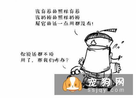 主人怀孕后，就不能养狗狗和猫咪了吗？
